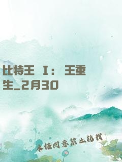 比特王國Ⅰ: 國王重生